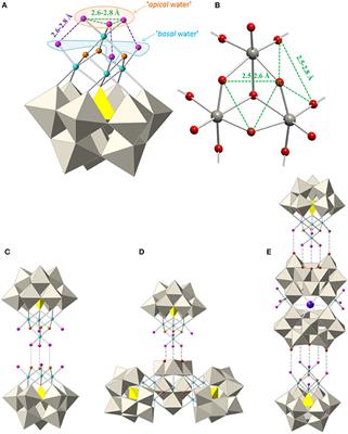 Large Magnetic Polyoxometalates Containing the Cobalt Cubane ‘[CoIIICo3II(OH)3(H2O)6–m(PW9O34)]3−' (m = 3 or 5) as a Subunit
